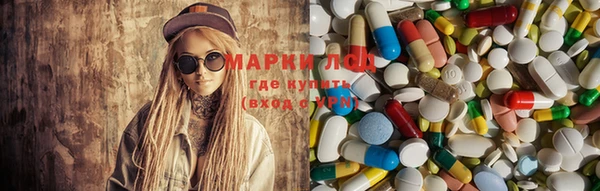 ECSTASY Липки