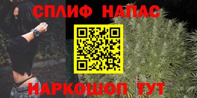 ПСИЛОЦИБИНОВЫЕ ГРИБЫ Камышлов
