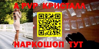 спиды Кандалакша