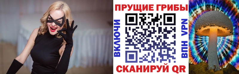 Псилоцибиновые грибы мицелий Шадринск