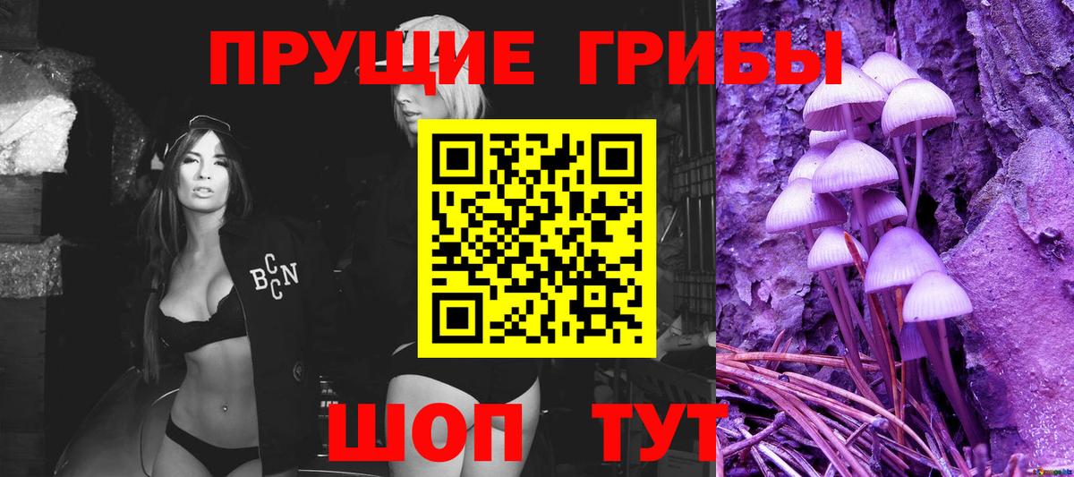 Галлюциногенные грибы GOLDEN TEACHER  Галлюциногенные грибы Magic Shrooms  Шадринск 