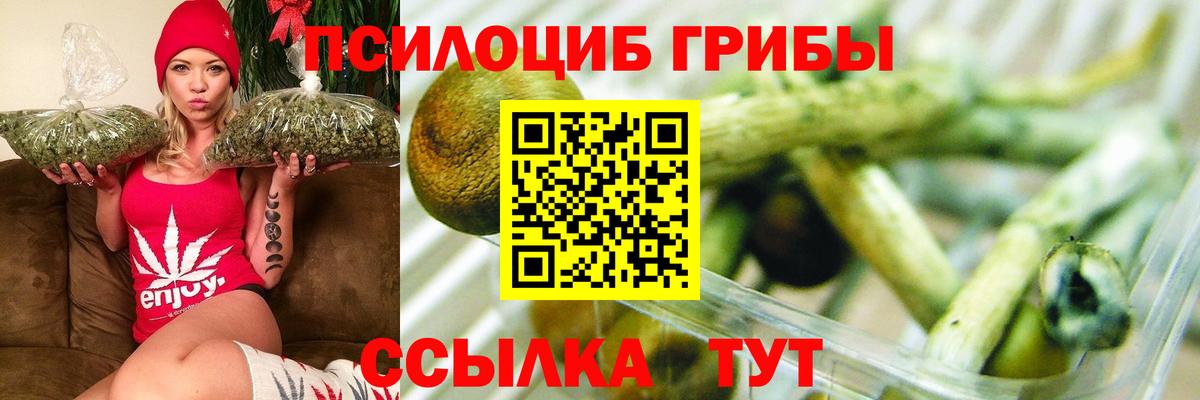 Псилоцибиновые грибы мицелий  Вход с VPN  Псилоцибиновые грибы прущие грибы  Шадринск 